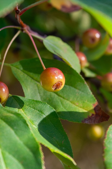 快船目前正 快船目前正