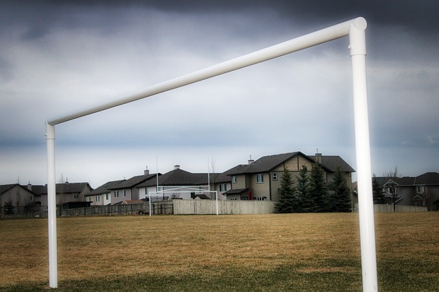 投注胜率 投注胜率