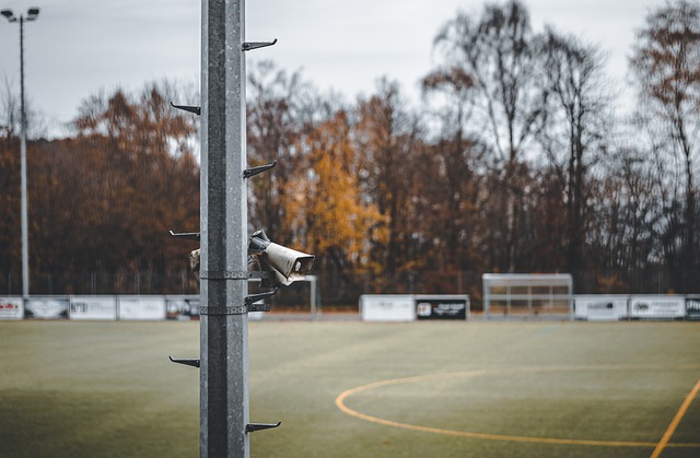 势与弱点 势与弱点