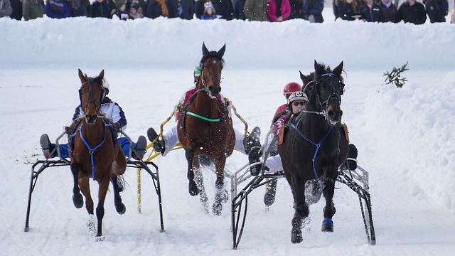 是成都队成 是成都队成