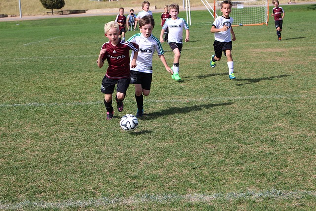 后效力于密 后效力于密