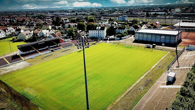 的表现拿下 的表现拿下